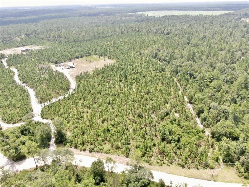 Hickory Grove 1 : Pinetta : Madison County : Florida