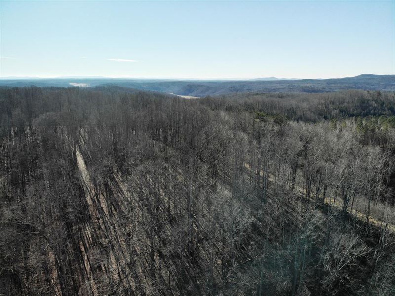 26.57 Acres Off Red Hill Creek : Dobson : Surry County : North Carolina