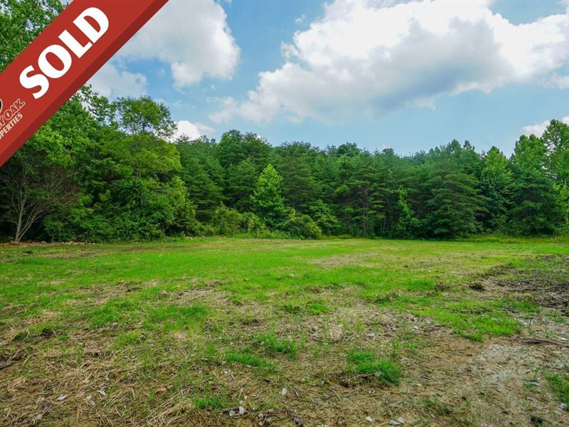 Featherstone Rd Lot 1, 29 Acres : Stewart : Athens County : Ohio