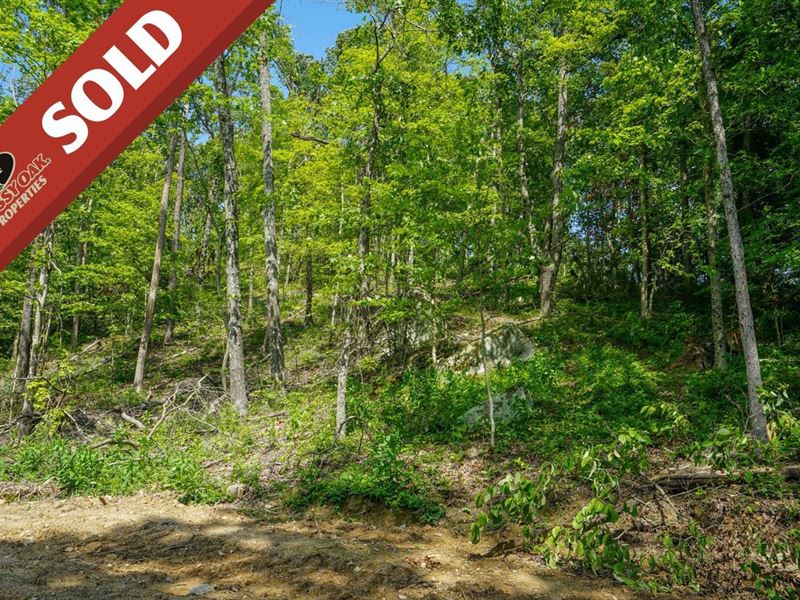 Featherstone Rd Lot 2, 22 Acres : Stewart : Athens County : Ohio