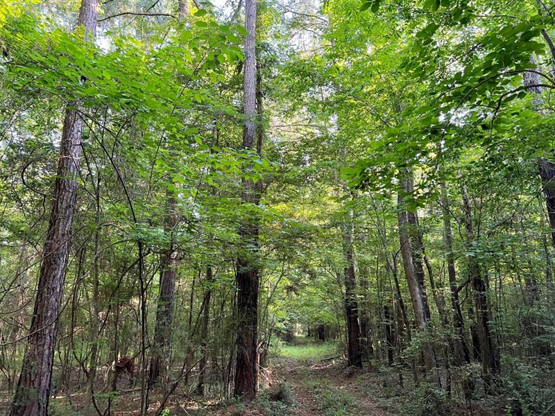 Santa Bogue Creek Millry Road : Millry : Washington County : Alabama