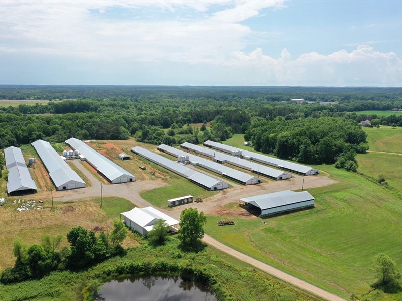 Misner Broiler Farm : Phil Campbell : Marion County : Alabama
