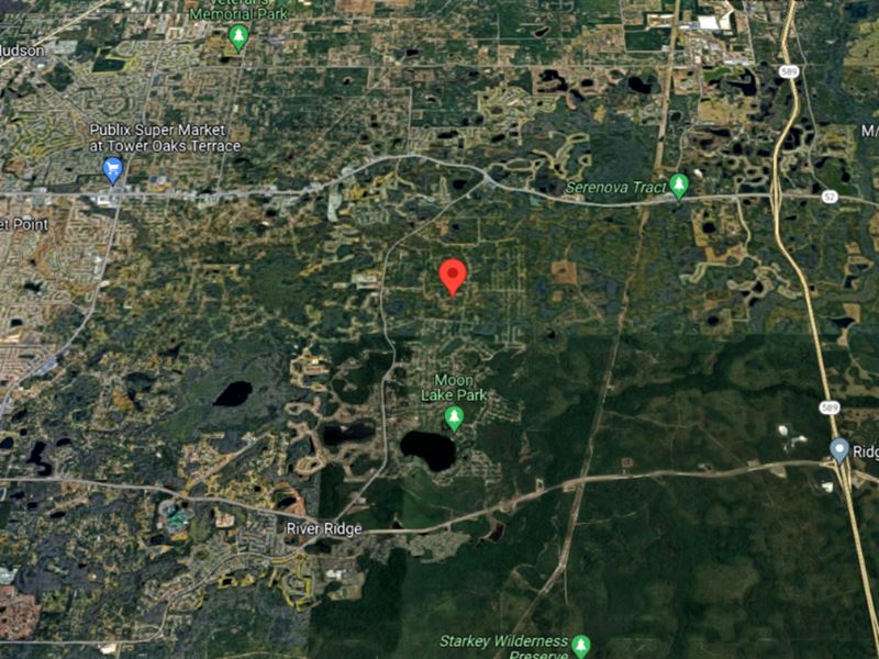.18 ac Lot Perfect for Homesteading : New Port Richey : Pasco County : Florida