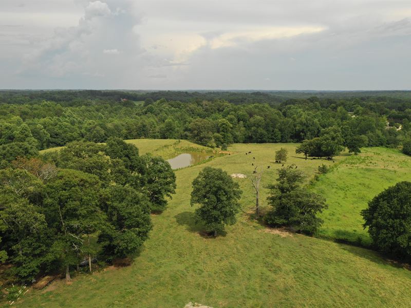 Pasture, Pond, Acreage : Walhalla : Oconee County : South Carolina