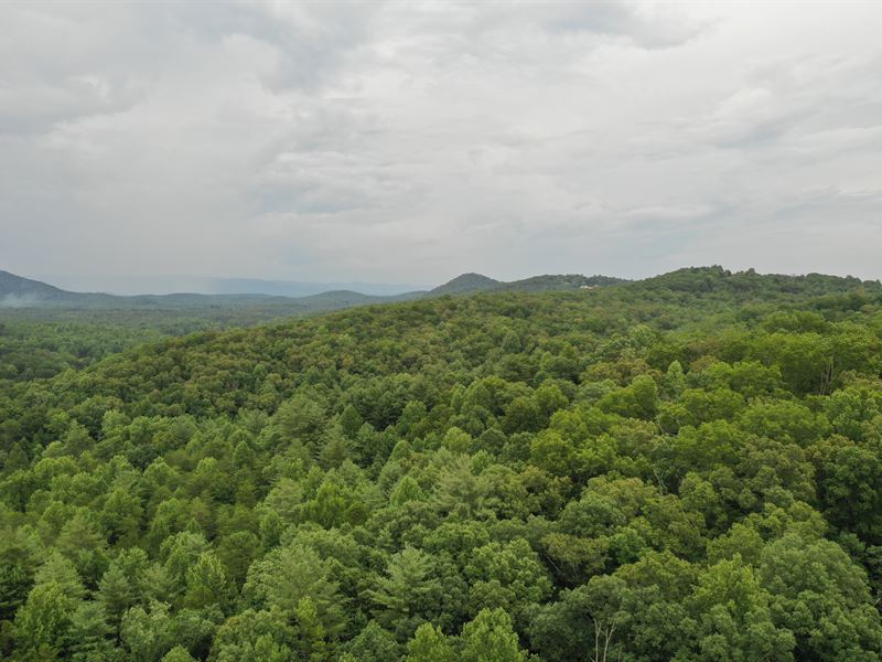 Cold Springs Tract 15A : Pickens : Pickens County : South Carolina