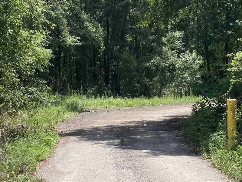 White Suwannee County Property : Live Oak : Suwannee County : Florida
