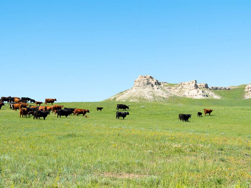 Finger Buttes Ranch : Alzada : Carter County : Montana