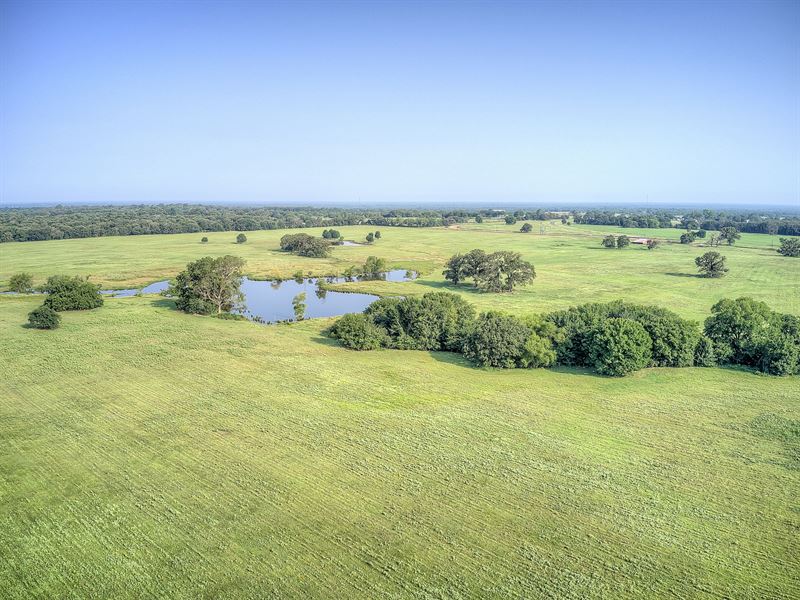 Perfect Homestead Lot Outside Dfw : Saltillo : Hopkins County : Texas