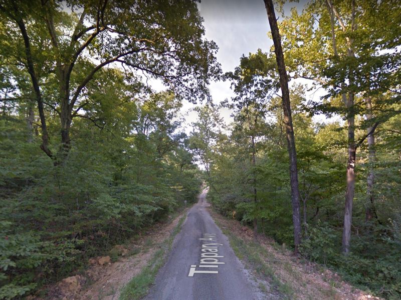 1/4 Ac, Lake, End of Rd, $1000 Cash : Williford : Sharp County : Arkansas