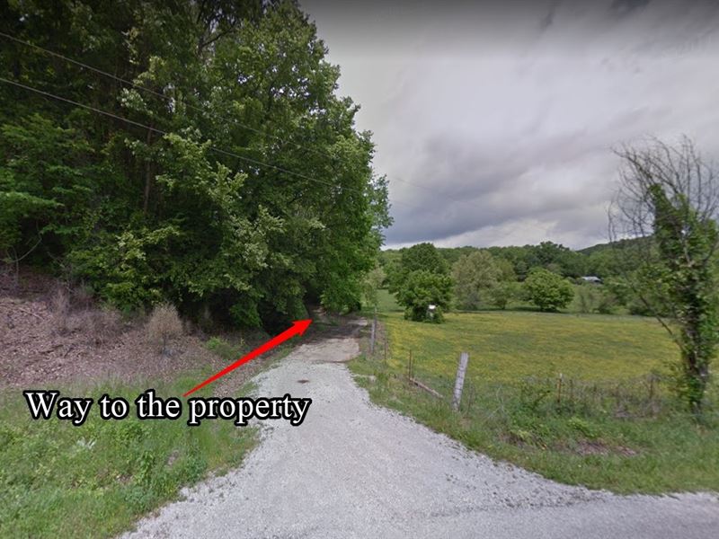 Beautiful 60 Acres in Maury County : Hampshire : Maury County : Tennessee