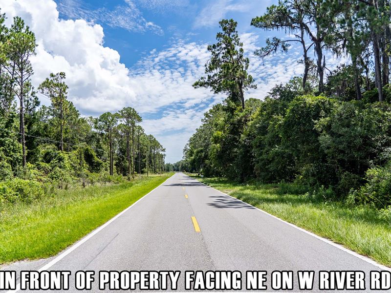 $9900 Down Pmt, Paved Road by River : Palatka : Putnam County : Florida