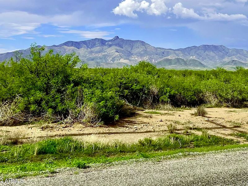 Farm & Live, Mtn View on 20 Acres : Willcox : Cochise County : Arizona