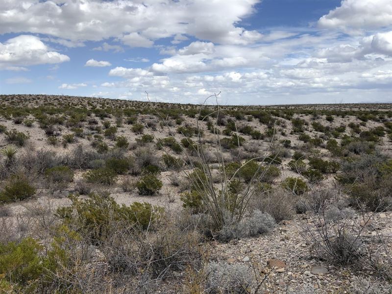 Warranty Deed Eleven Beautiful : Dell City : Hudspeth County : Texas