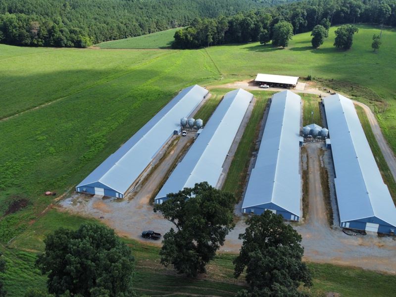 Hughes Poultry Farm : Gaylesville : Cherokee County : Alabama