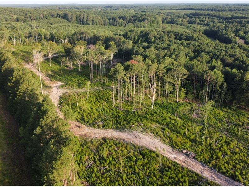 75 Acres Land for Sale Claiborne PA : Homer : Claiborne Parish : Louisiana