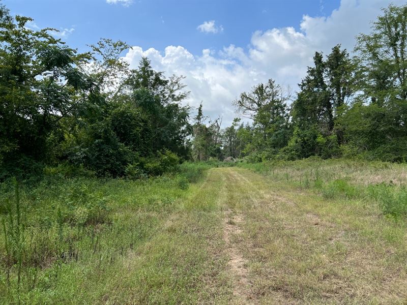 Ms, Warren 1050 Acres : Vicksburg : Warren County : Mississippi
