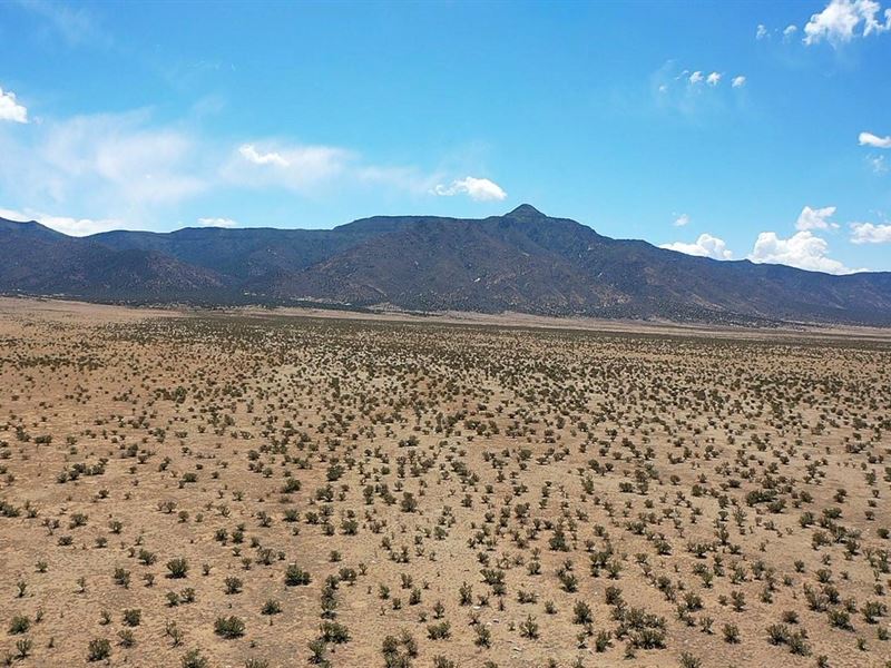 Energy Drive 1157 Tract : Los Lunas : Valencia County : New Mexico