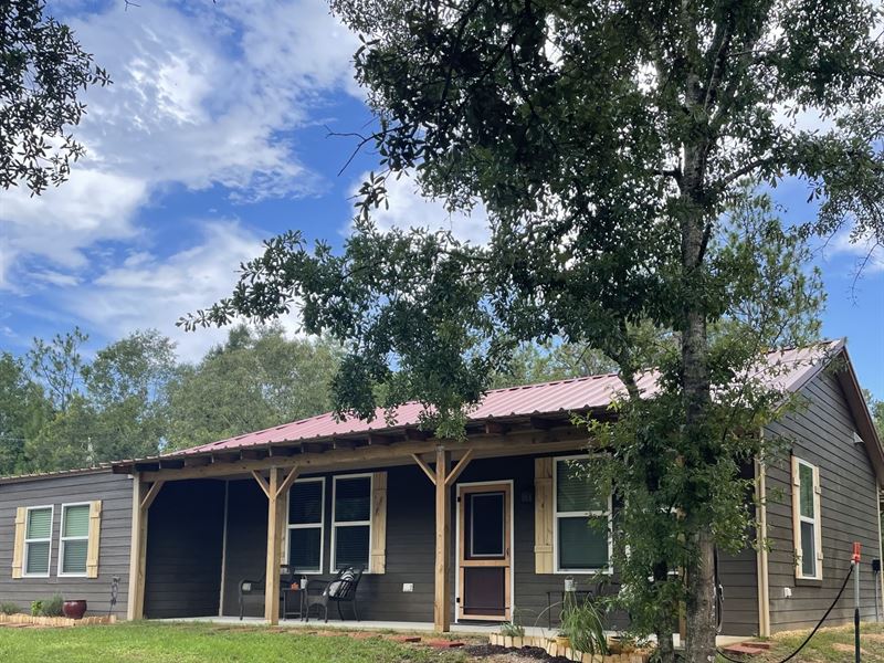 13 Ac with 2/1 Cabin-Baldwin Co : Robertsdale : Baldwin County : Alabama