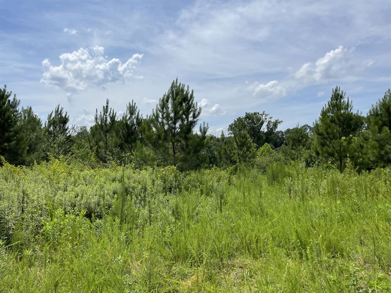 51 Acres in Jackson County, GA : Pendergrass : Jackson County : Georgia
