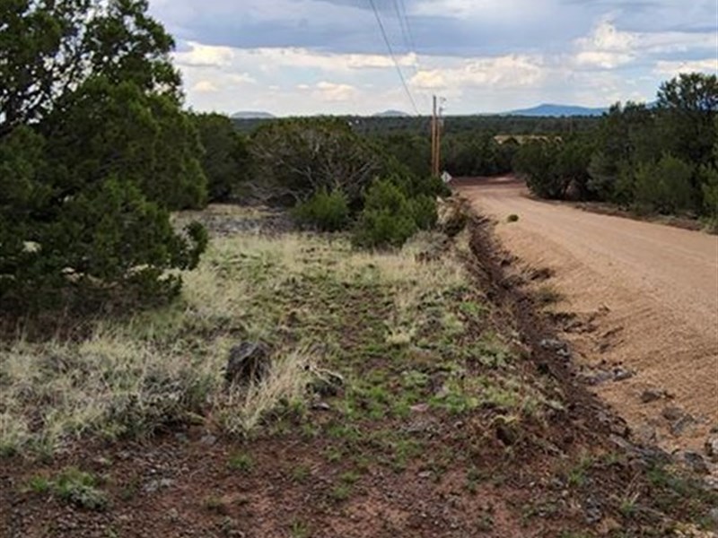 Mountain Views, RV Okay, Power : Vernon : Apache County : Arizona