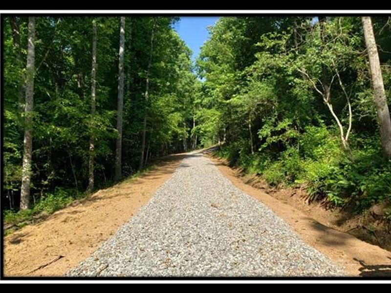 Tract 6, The Woods at Winner Lane : Stewart : Athens County : Ohio