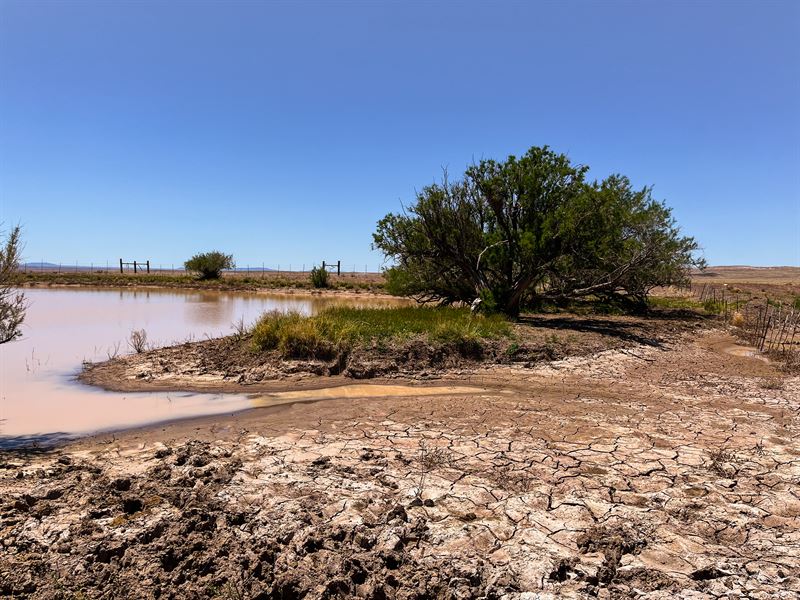 Rare County Maintained Access Lot 2 : Joseph City : Navajo County : Arizona