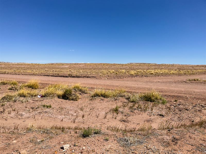 Rare County Maintained Access Lot 3 : Joseph City : Navajo County : Arizona