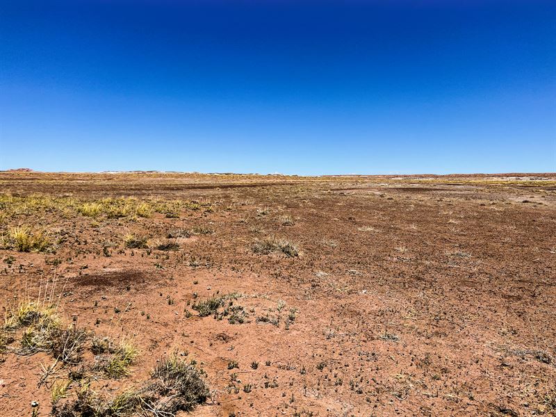 Rare County Maintained Access Lot 4 : Joseph City : Navajo County : Arizona