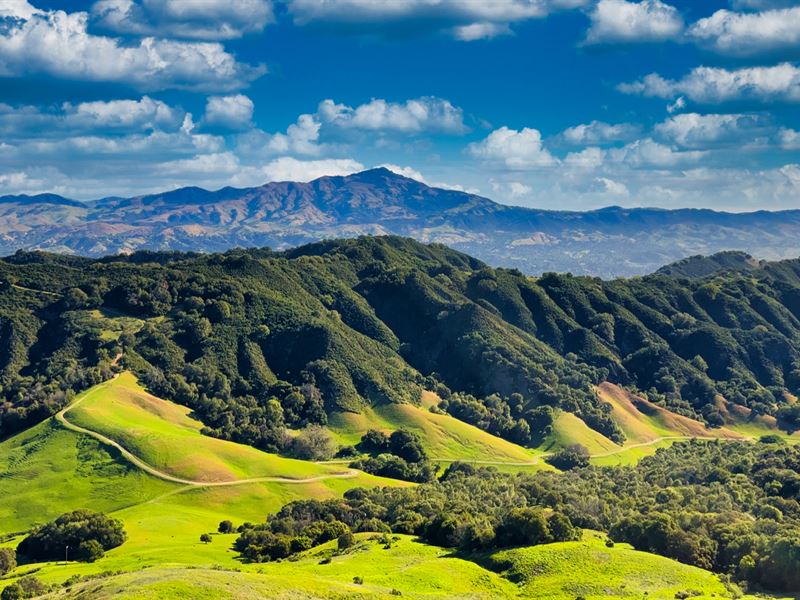 32.9 Acres with Creek, Well & Power : Moraga : Contra Costa County : California