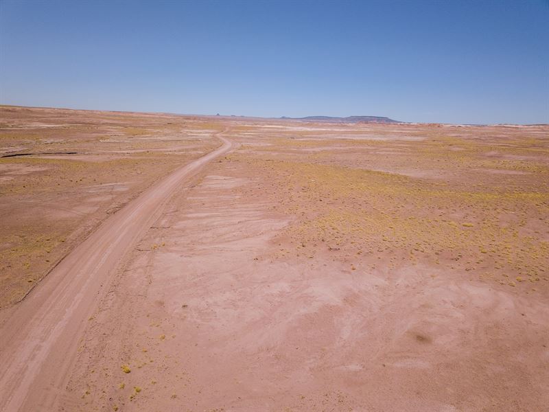 Rare County Maintained Access Lot 6 : Joseph City : Navajo County : Arizona