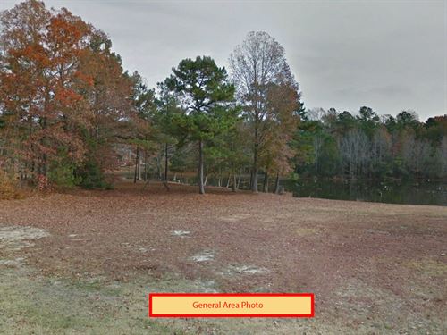 .29 Acre in Bladen County, NC : Bethel : Bladen County : North Carolina