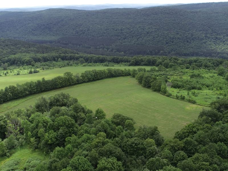 Valley Views and Hunting Paradise : Taylor : Cortland County : New York