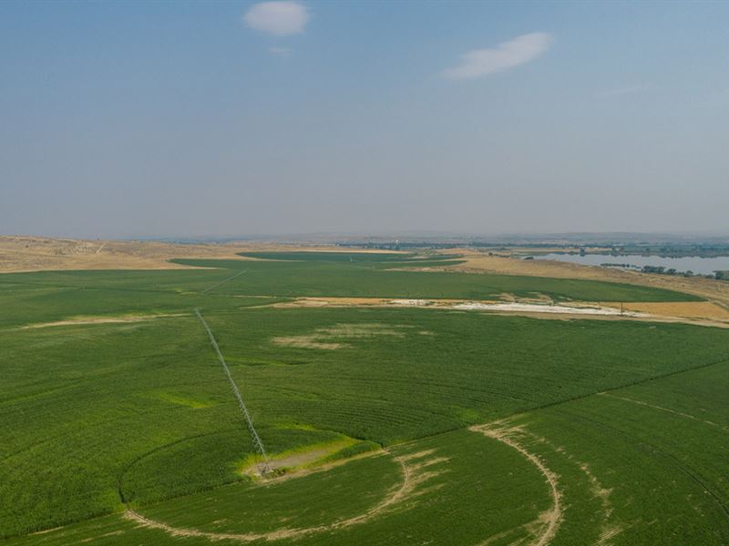 Rageth Pivots : Byron : Big Horn County : Wyoming