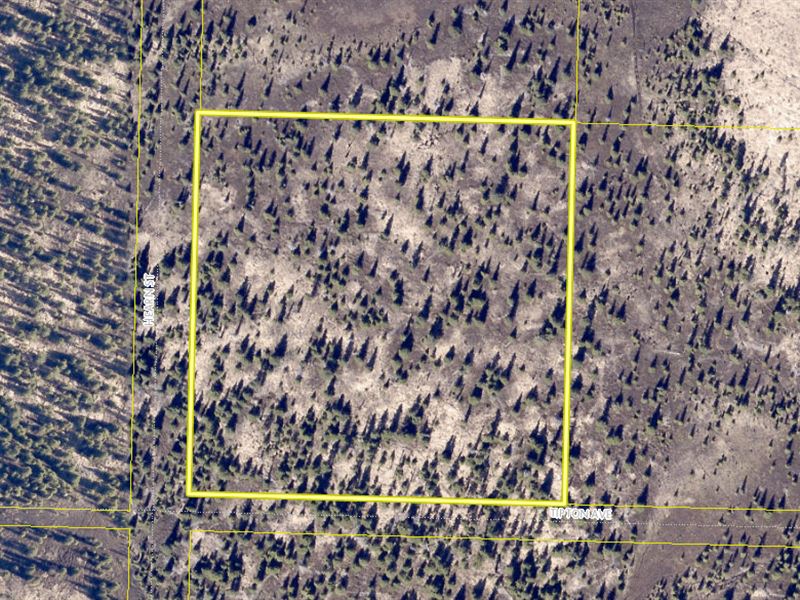 Over 8 Acres Close to Fishing : Anchor Point : Kenai Peninsula Borough : Alaska