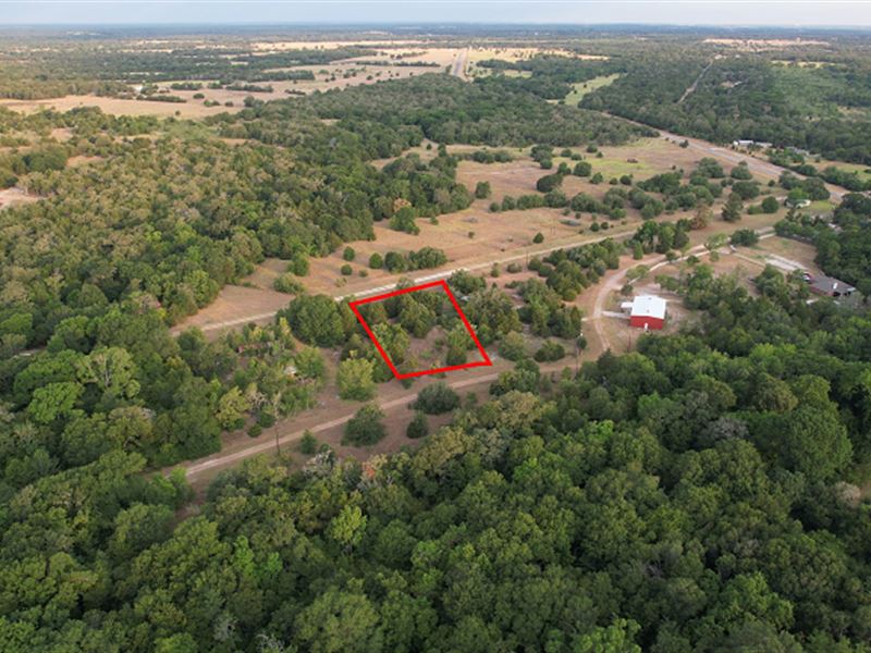 Unrestricted Buildable Vacant Lot : Somerville : Burleson County : Texas