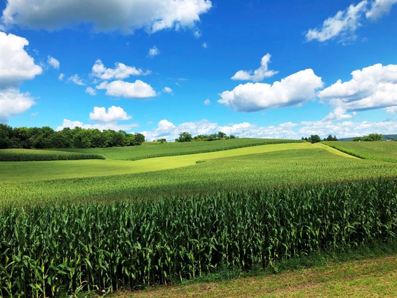 Farm, Hunt, Build : Muscoda : Richland County : Wisconsin