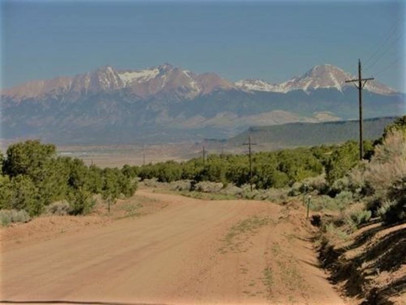 Make Your Weekends Great Again : Blanca Rd : Costilla County : Colorado