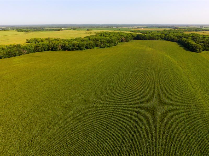 Antelope Creek Farm & Hunt : Wamego : Wabaunsee County : Kansas