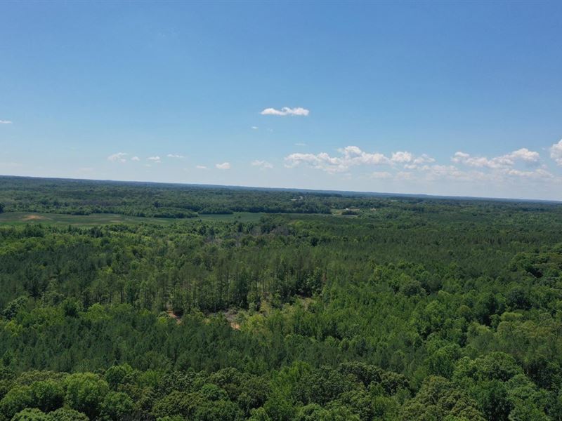 722.7 Acre Hunting / Investment : Springville : Henry County : Tennessee
