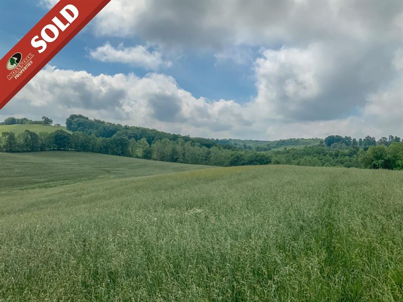 Sam Gilliland Rd, 68 Acres, Jacks : Oak Hill : Jackson County : Ohio