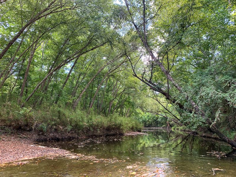 588 Acres, The Game Preserve : Huntsville : Walker County : Texas