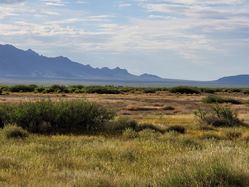 Self Sufficient Acre, Only $99/Mo : Deming : Luna County : New Mexico