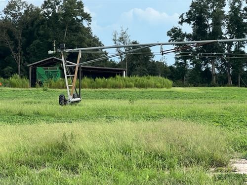 Irrigated Farmland with Well : Bascom : Jackson County : Florida