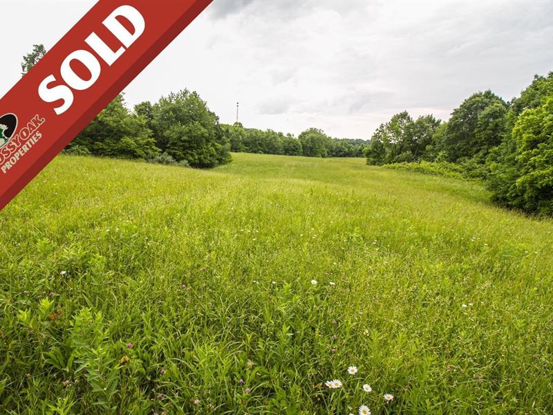 Slaughter Hill Rd, 33 Acres, Guer : Cambridge : Guernsey County : Ohio