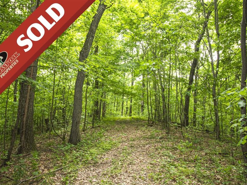 Slaughter Hill Rd, 13 Acres, Guer : Cambridge : Guernsey County : Ohio