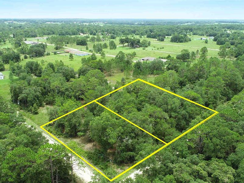 Half Acre In Ocala's Horse Country Land for Sale by Owner in Ocala
