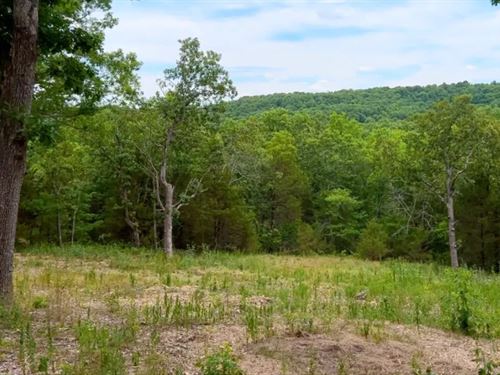 Owner Financed Land in MO : Ava : Douglas County : Missouri