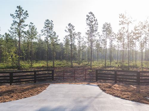 Lot 3, Stave Branch, Hilliard : Hilliard : Nassau County : Florida