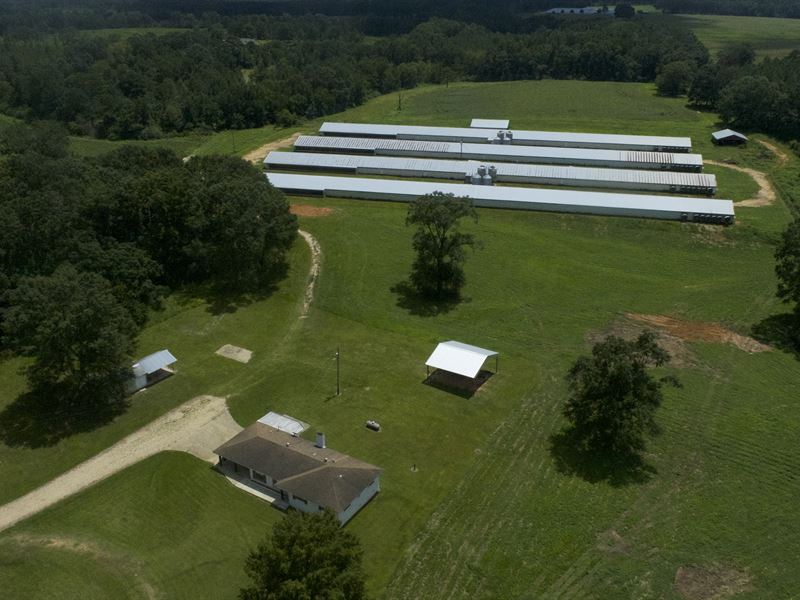 4 House Poultry Farm on 40 Acres : Foxworth : Marion County : Mississippi