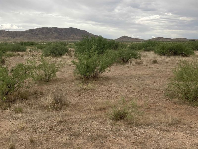 Own Over 3 Acres with $149 Down : Wilcox : Cochise County : Arizona